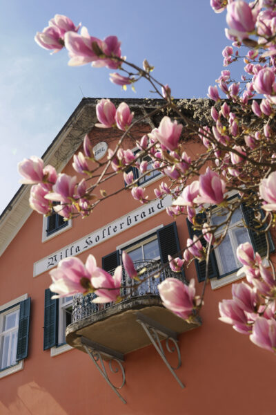 Weingartenhotel Harkamp